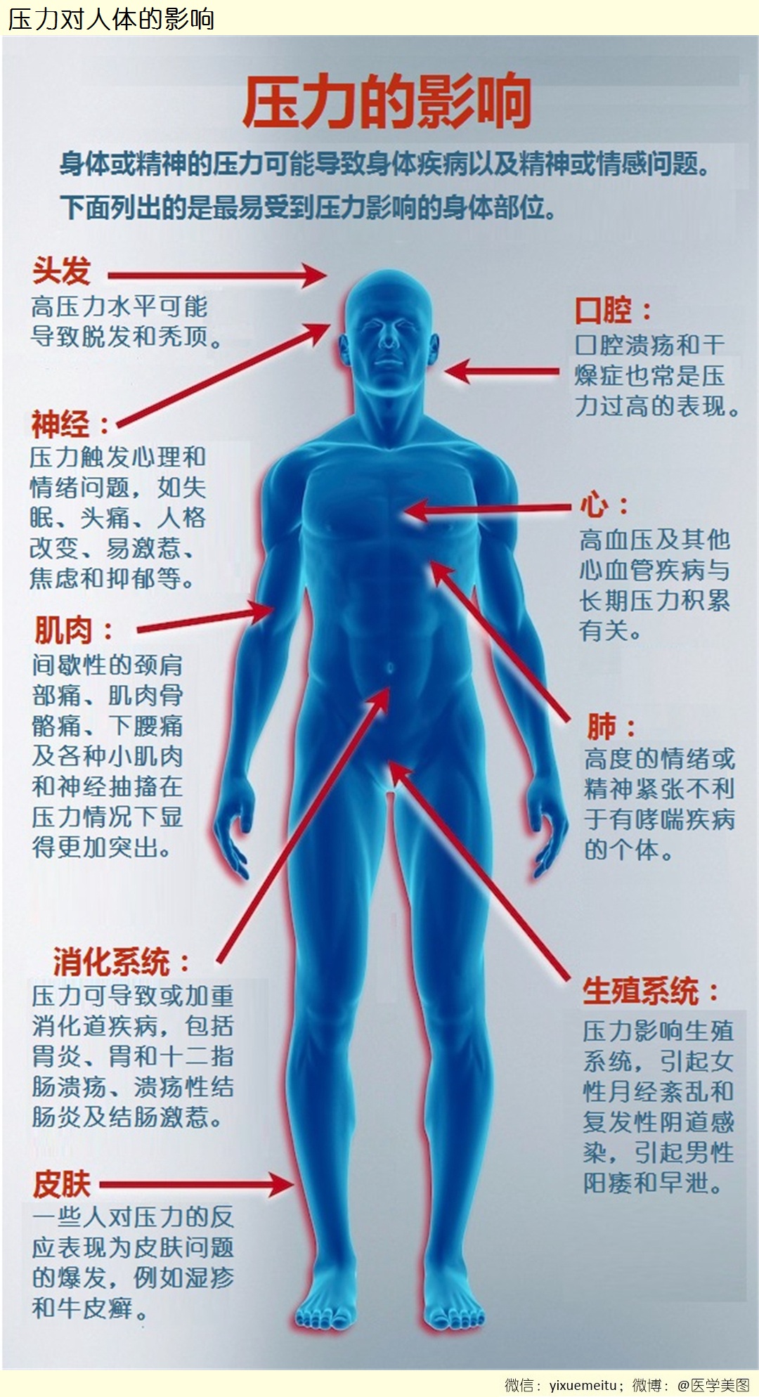 有趣心理压力测试图_word文档在线阅读与下载_免费文档