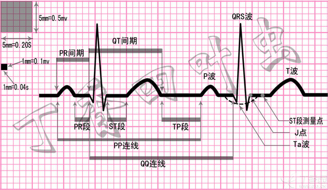 初学慢四步的基本步法