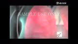 深静脉血栓形成（DVT）和肺栓塞（PE）