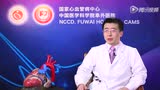 主动脉弓离断